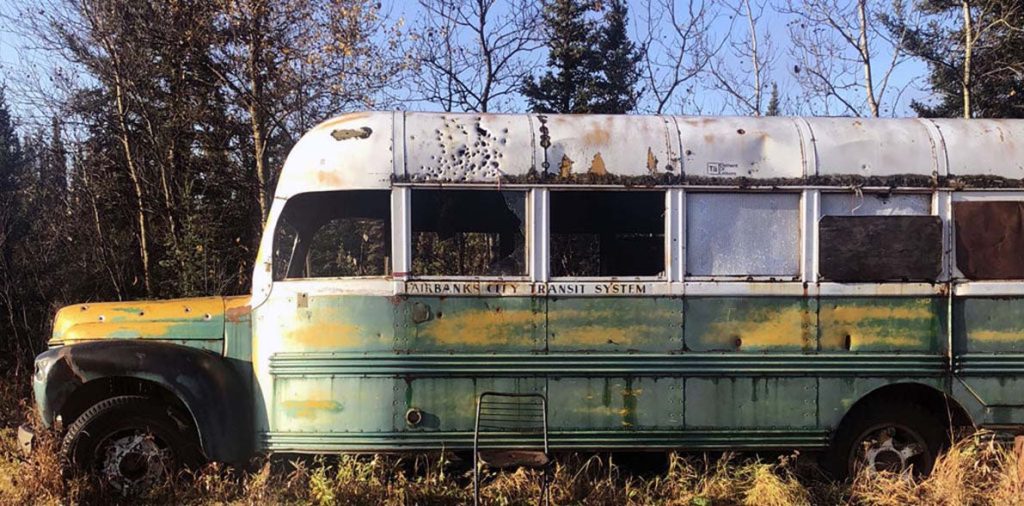 Navigating Washington’s Wonders: A Public Bus Odyssey
